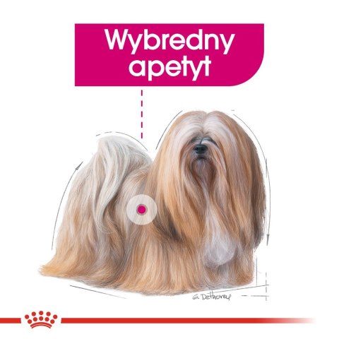 Royal Canin ROYAL CANIN CCN EXIGENT LOAF - mokra karma dla psa dorosłego - 12x85g Royal Canin ROYAL CANIN CCN EXIGENT LOAF - mokra karma dla psa dorosłego - 12x85g