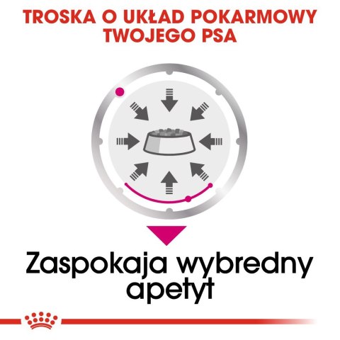 Royal Canin ROYAL CANIN CCN EXIGENT LOAF - mokra karma dla psa dorosłego - 12x85g Royal Canin ROYAL CANIN CCN EXIGENT LOAF - mokra karma dla psa dorosłego - 12x85g