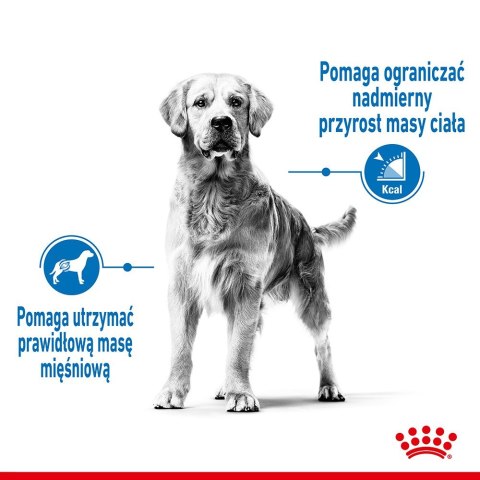 Royal Canin ROYAL CANIN CCN MEDIUM LIGHT WEIGHT CARE - sucha karma dla psa dorosłego - 3kg Royal Canin ROYAL CANIN CCN MEDIUM LIGHT WEIGHT CARE - sucha karma dla psa dorosłego - 3kg