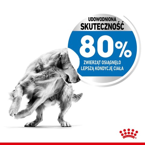 Royal Canin ROYAL CANIN CCN MEDIUM LIGHT WEIGHT CARE - sucha karma dla psa dorosłego - 3kg Royal Canin ROYAL CANIN CCN MEDIUM LIGHT WEIGHT CARE - sucha karma dla psa dorosłego - 3kg