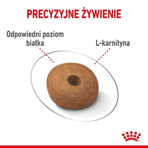 Royal Canin ROYAL CANIN CCN MEDIUM LIGHT WEIGHT CARE - sucha karma dla psa dorosłego - 3kg Royal Canin ROYAL CANIN CCN MEDIUM LIGHT WEIGHT CARE - sucha karma dla psa dorosłego - 3kg