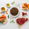 VetExpert VetExpert Raw Paleo Ultra Wołowina Medium&Large Adult 2kg