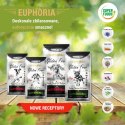 BIOFEED BIOFEED Euphoria G-F psy MINI&SMALL wołowina 12kg