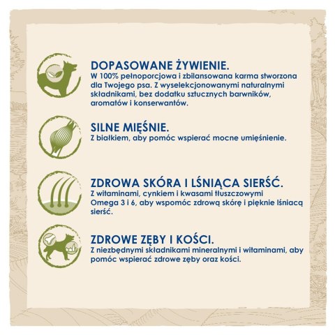 PURINA NESTLE PURINA DOG CHOW Adult Jagnięcina - sucha karma dla psa - 14 kg PURINA NESTLE PURINA DOG CHOW Adult Jagnięcina - sucha karma dla psa - 14 kg