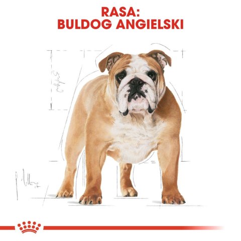 Royal Canin ROYAL CANIN BHN Bulldog Adult - sucha karma dla psa dorosłego rasy bulldog - 12 kg Royal Canin ROYAL CANIN BHN Bulldog Adult - sucha karma dla psa dorosłego rasy bulldog - 12 kg
