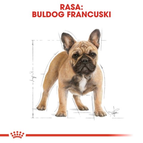 Royal Canin ROYAL CANIN BHN French Bulldog Adult - sucha karma dla psa dorosłego - 3kg Royal Canin ROYAL CANIN BHN French Bulldog Adult - sucha karma dla psa dorosłego - 3kg