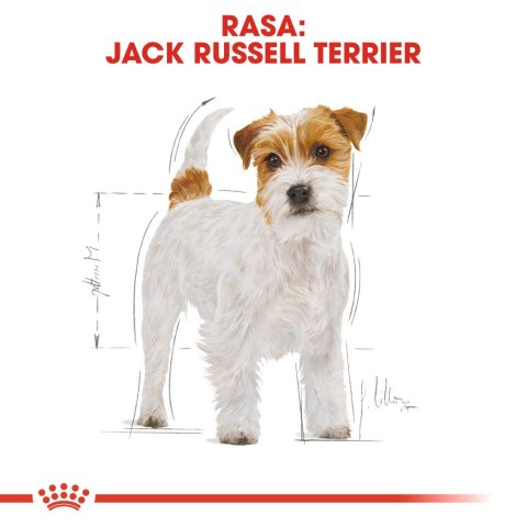 Royal Canin ROYAL CANIN BHN Jack Russell Terrier Adult - sucha karma dla psa dorosłego - 7,5kg Royal Canin ROYAL CANIN BHN Jack Russell Terrier Adult - sucha karma dla psa dorosłego - 7,5kg