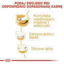 Royal Canin ROYAL CANIN BHN Jack Russell Terrier Adult - sucha karma dla psa dorosłego - 7,5kg