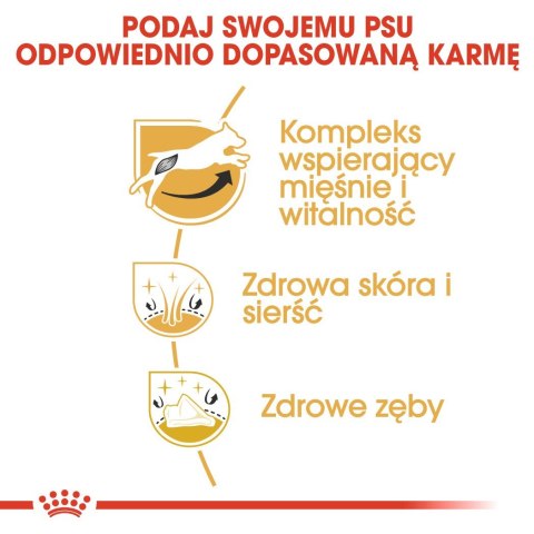 Royal Canin ROYAL CANIN BHN Jack Russell Terrier Adult - sucha karma dla psa dorosłego - 7,5kg Royal Canin ROYAL CANIN BHN Jack Russell Terrier Adult - sucha karma dla psa dorosłego - 7,5kg