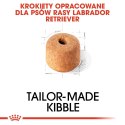 Royal Canin ROYAL CANIN BHN Labrador Retriever Adult - sucha karma dla psa dorosłego - 12 kg