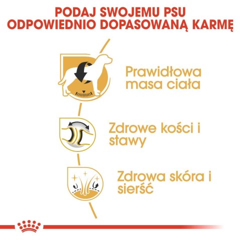Royal Canin ROYAL CANIN BHN Labrador Retriever Adult - sucha karma dla psa dorosłego - 12 kg Royal Canin ROYAL CANIN BHN Labrador Retriever Adult - sucha karma dla psa dorosłego - 12 kg