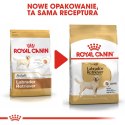 Royal Canin ROYAL CANIN BHN Labrador Retriever Adult - sucha karma dla psa dorosłego - 12 kg