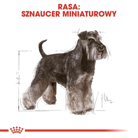 Royal Canin ROYAL CANIN BHN Miniature Schnauzer Adult - sucha karma dla psa dorosłego - 3kg Royal Canin ROYAL CANIN BHN Miniature Schnauzer Adult - sucha karma dla psa dorosłego - 3kg