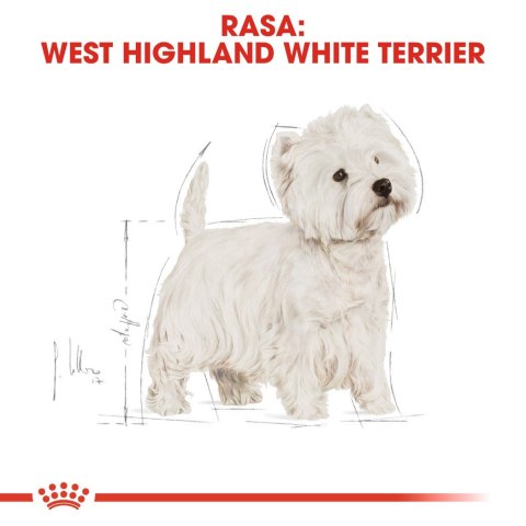 Royal Canin ROYAL CANIN BHN West Highland White Terrier Adult - sucha karma dla psa dorosłego - 3kg Royal Canin ROYAL CANIN BHN West Highland White Terrier Adult - sucha karma dla psa dorosłego - 3kg