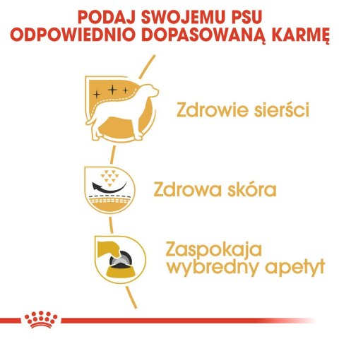 Royal Canin ROYAL CANIN BHN West Highland White Terrier Adult - sucha karma dla psa dorosłego - 3kg Royal Canin ROYAL CANIN BHN West Highland White Terrier Adult - sucha karma dla psa dorosłego - 3kg