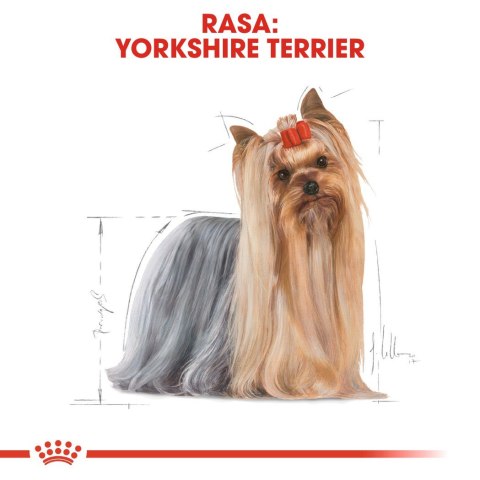 Royal Canin ROYAL CANIN BHN Yorkshire Terrier Adult - sucha karma dla psa dorosłego - 7,5 kg Royal Canin ROYAL CANIN BHN Yorkshire Terrier Adult - sucha karma dla psa dorosłego - 7,5 kg