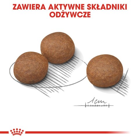Royal Canin ROYAL CANIN CCN MEDIUM DIGESTIVE CARE - sucha karma dla psa dorosłego - 3kg Royal Canin ROYAL CANIN CCN MEDIUM DIGESTIVE CARE - sucha karma dla psa dorosłego - 3kg