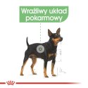 Royal Canin ROYAL CANIN CCN MINI DIGESTIVETIVE CARE - sucha karma dla psa dorosłego - 3kg