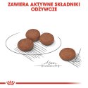 Royal Canin ROYAL CANIN CCN MINI DIGESTIVETIVE CARE - sucha karma dla psa dorosłego - 3kg