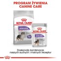 Royal Canin ROYAL CANIN CCN Medium Sterilised - sucha karma dla psa dorosłego - 3kg