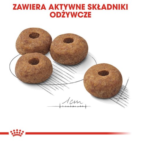 Royal Canin ROYAL CANIN CCN Medium Sterilised - sucha karma dla psa dorosłego - 3kg Royal Canin ROYAL CANIN CCN Medium Sterilised - sucha karma dla psa dorosłego - 3kg