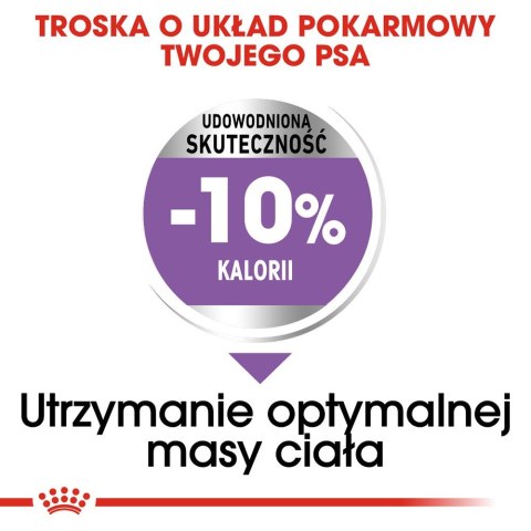 Royal Canin ROYAL CANIN CCN Medium Sterilised - sucha karma dla psa dorosłego - 3kg Royal Canin ROYAL CANIN CCN Medium Sterilised - sucha karma dla psa dorosłego - 3kg