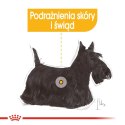 Royal Canin ROYAL CANIN Mini Dermacomfort - karma dla psów dorosłych ras małych - 3kg