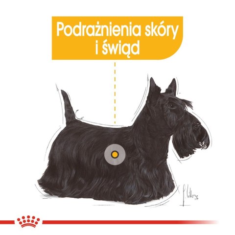 Royal Canin ROYAL CANIN Mini Dermacomfort - karma dla psów dorosłych ras małych - 3kg Royal Canin ROYAL CANIN Mini Dermacomfort - karma dla psów dorosłych ras małych - 3kg