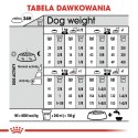 Royal Canin ROYAL CANIN Mini Dermacomfort - karma dla psów dorosłych ras małych - 3kg