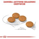 Royal Canin ROYAL CANIN Mini Dermacomfort - karma dla psów dorosłych ras małych - 3kg