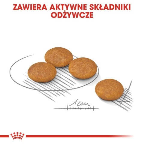 Royal Canin ROYAL CANIN Mini Dermacomfort - karma dla psów dorosłych ras małych - 3kg Royal Canin ROYAL CANIN Mini Dermacomfort - karma dla psów dorosłych ras małych - 3kg