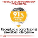 Royal Canin ROYAL CANIN Mini Dermacomfort - karma dla psów dorosłych ras małych - 3kg