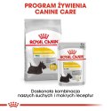 Royal Canin ROYAL CANIN Mini Dermacomfort - karma dla psów dorosłych ras małych - 3kg