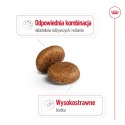 Royal Canin ROYAL CANIN SHN Maxi Adult 5+ - sucha karma dla psa dorosłego - 15 kg
