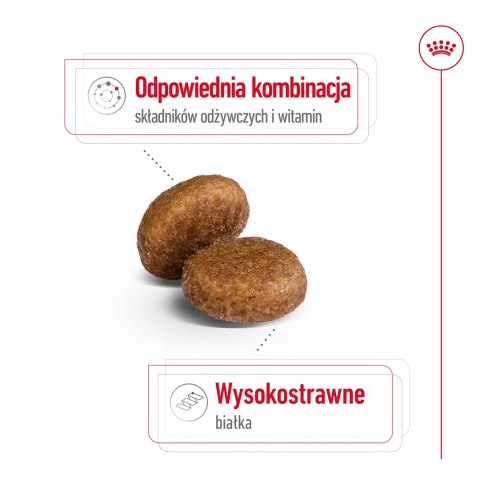 Royal Canin ROYAL CANIN SHN Maxi Adult 5+ - sucha karma dla psa dorosłego - 15 kg Royal Canin ROYAL CANIN SHN Maxi Adult 5+ - sucha karma dla psa dorosłego - 15 kg