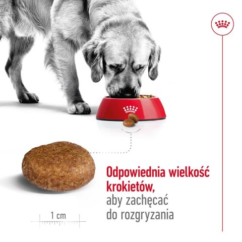Royal Canin ROYAL CANIN SHN Maxi Adult 5+ - sucha karma dla psa dorosłego - 15 kg Royal Canin ROYAL CANIN SHN Maxi Adult 5+ - sucha karma dla psa dorosłego - 15 kg