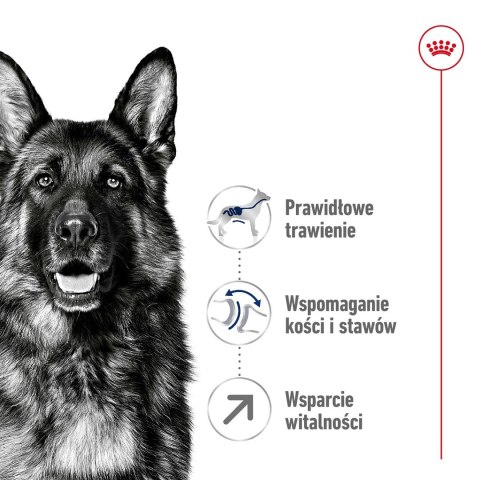 Royal Canin ROYAL CANIN SHN Maxi Adult 5+ - sucha karma dla psa dorosłego - 15 kg Royal Canin ROYAL CANIN SHN Maxi Adult 5+ - sucha karma dla psa dorosłego - 15 kg