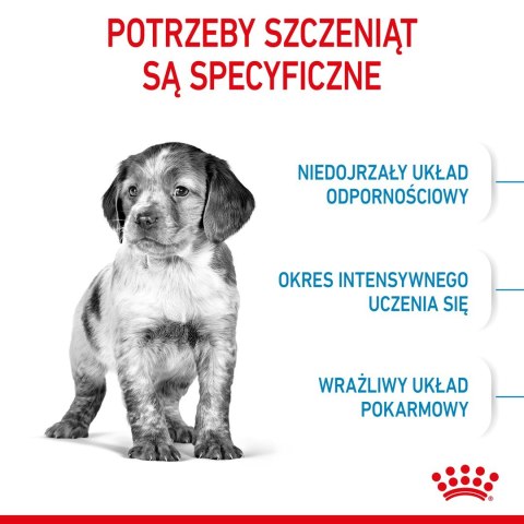Royal Canin ROYAL CANIN SHN Medium Puppy - sucha karma dla szczeniąt - 15 kg Royal Canin ROYAL CANIN SHN Medium Puppy - sucha karma dla szczeniąt - 15 kg