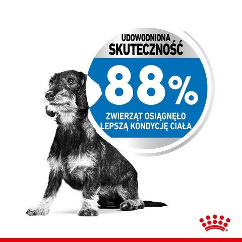 Royal Canin Royal Canin CCN MINI LIGHT WEIGHT CARE - sucha karma dla psa dorosłego - 3kg Royal Canin Royal Canin CCN MINI LIGHT WEIGHT CARE - sucha karma dla psa dorosłego - 3kg