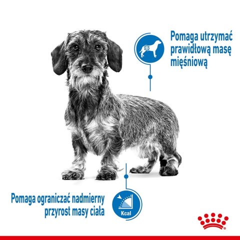 Royal Canin Royal Canin CCN MINI LIGHT WEIGHT CARE - sucha karma dla psa dorosłego - 3kg Royal Canin Royal Canin CCN MINI LIGHT WEIGHT CARE - sucha karma dla psa dorosłego - 3kg