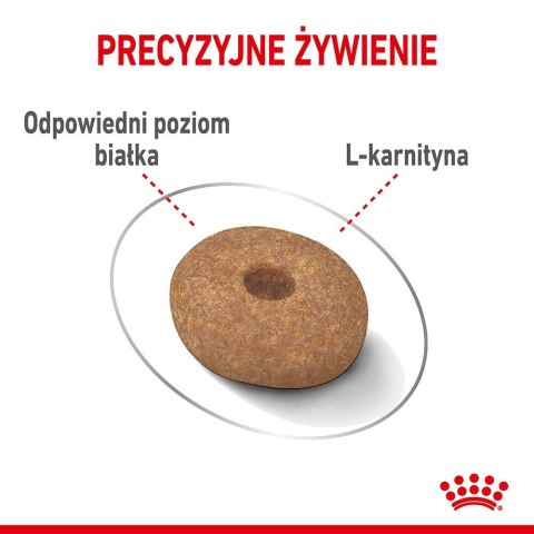 Royal Canin Royal Canin CCN MINI LIGHT WEIGHT CARE - sucha karma dla psa dorosłego - 3kg Royal Canin Royal Canin CCN MINI LIGHT WEIGHT CARE - sucha karma dla psa dorosłego - 3kg