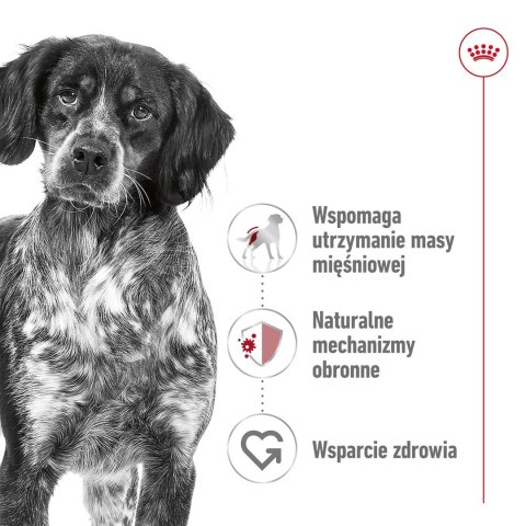 Royal Canin Royal Canin SHN Medium Adult BF 4kg Royal Canin Royal Canin SHN Medium Adult BF 4kg