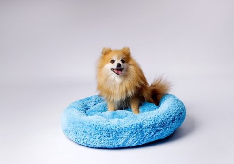 Go Gift GO GIFT Shaggy niebieski M - legowisko dla zwierząt - 57 x 57 x 10 cm Go Gift GO GIFT Shaggy niebieski M - legowisko dla zwierząt - 57 x 57 x 10 cm