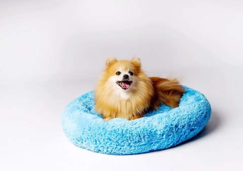 Go Gift GO GIFT Shaggy niebieski M - legowisko dla zwierząt - 57 x 57 x 10 cm Go Gift GO GIFT Shaggy niebieski M - legowisko dla zwierząt - 57 x 57 x 10 cm