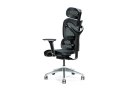 BEMONDI Ergonomiczny fotel biurowy ERGO 600 czarny