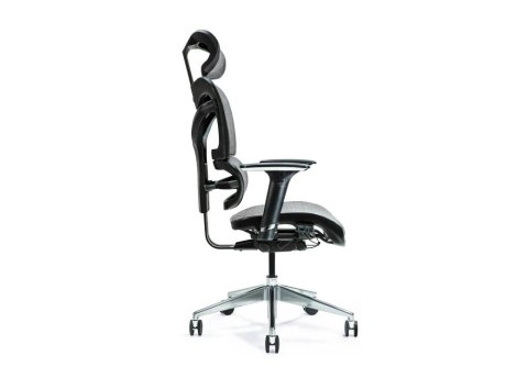 BEMONDI Ergonomiczny fotel biurowy ERGO 600 szary BEMONDI Ergonomiczny fotel biurowy ERGO 600 szary