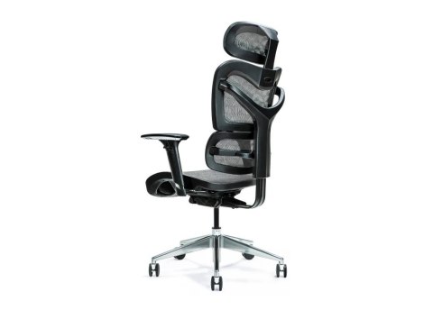 BEMONDI Ergonomiczny fotel biurowy ERGO 600 szary BEMONDI Ergonomiczny fotel biurowy ERGO 600 szary