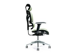 BEMONDI Ergonomiczny fotel biurowy ERGO 600 zielony