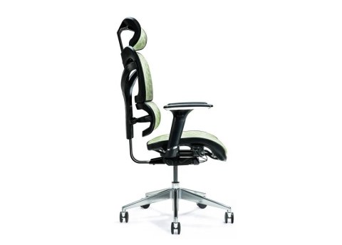 BEMONDI Ergonomiczny fotel biurowy ERGO 600 zielony