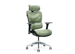 BEMONDI Ergonomiczny fotel biurowy ERGO 600 zielony